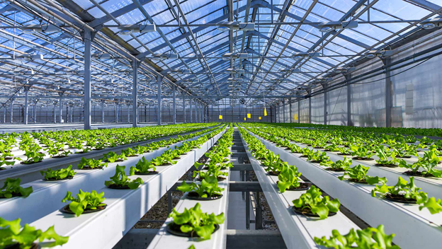 Precision agriculture technology at work, with drones flying over farmland to optimize crop health and yield.