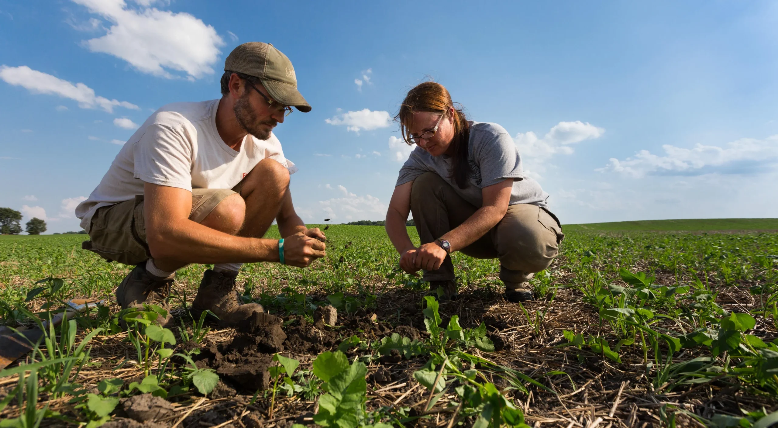 "Agroforestry practice with mixed crops and trees, enhancing biodiversity and soil health in sustainable farming landscape.