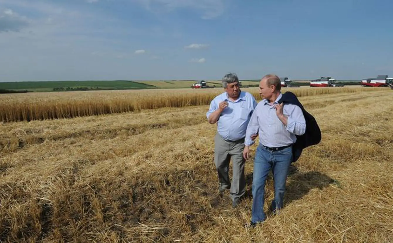 Vast wheat field in Russia, showcasing the country's dominance in wheat production.