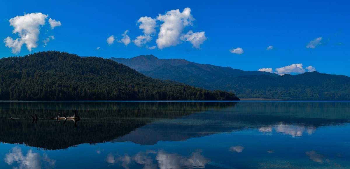 A serene scene of Rara Lake with a boat floating on its tranquil waters, framed by vibrant green foliage and distant mountains. 