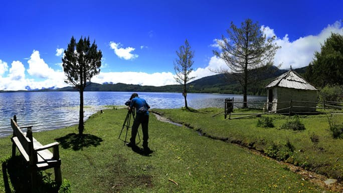 The lush, green landscape around Rara Lake with blooming wildflowers and towering pine trees under a clear blue sky. 