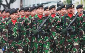 Tentara Indonesia