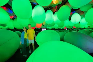 Milenial Glow Garden: Tren Baru Buat Kamu yang Ingin Hidup Lebih Segar