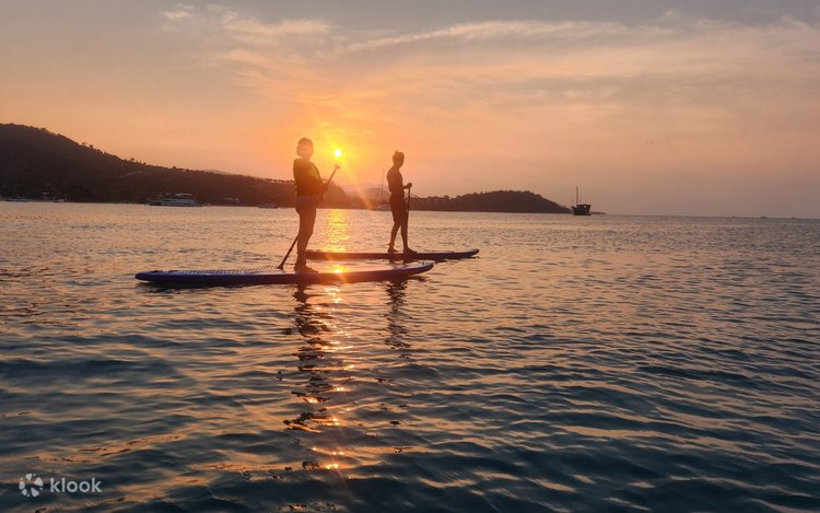 Paddleboarding, Olahraga Santai dengan Manfaat Besar 1 Paddleboarding